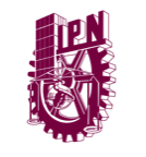 Instituto Politécnico Nacional (IPN)